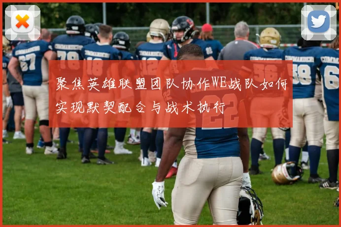 聚焦英雄联盟团队协作WE战队如何实现默契配合与战术执行